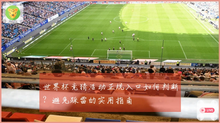 世界杯竞猜活动正规入口如何判断？避免踩雷的实用指南