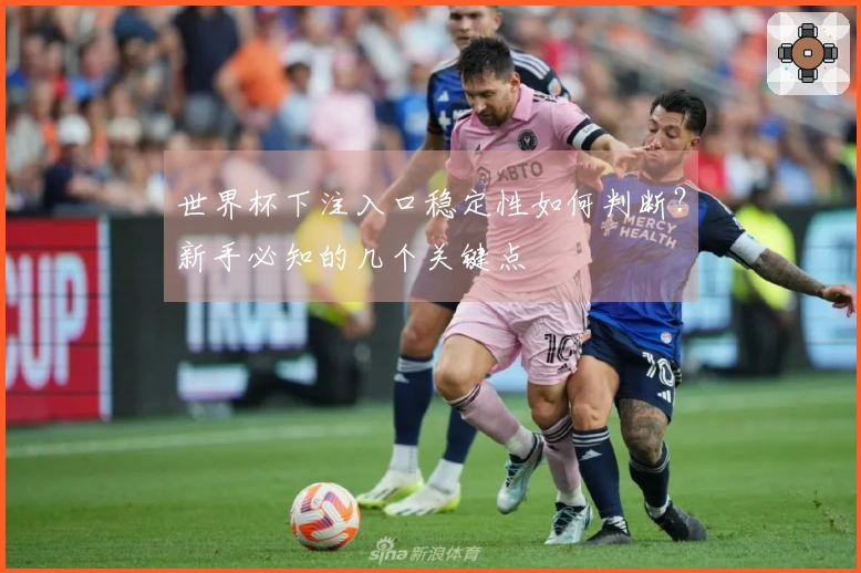 世界杯下注入口稳定性如何判断？新手必知的几个关键点
