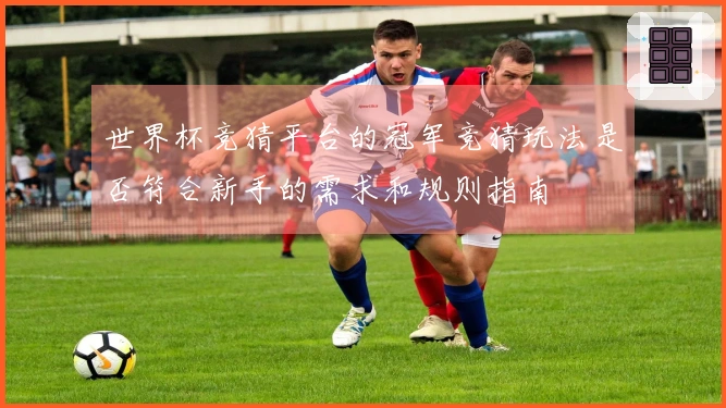 世界杯竞猜平台的冠军竞猜玩法是否符合新手的需求和规则指南